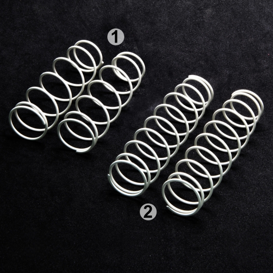 F+R Shock Spring Set