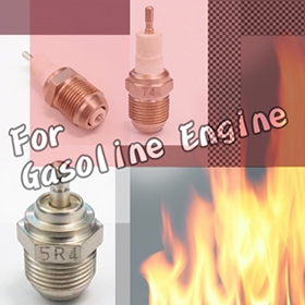 Plug For Gasoline Engine
